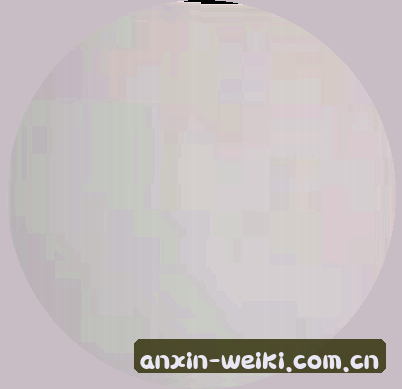 刘洋